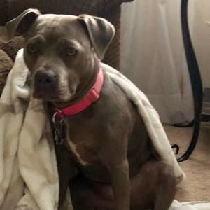 Meet your Posher, Sue